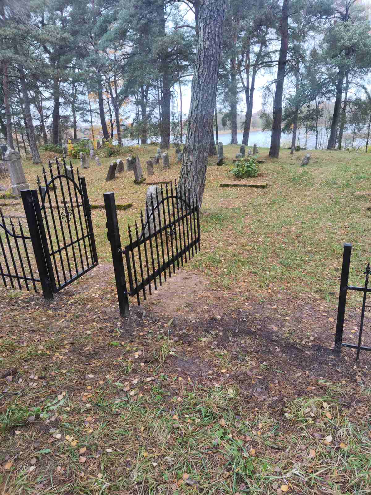 Metaliniai vartai su dekoratyviniais elementais