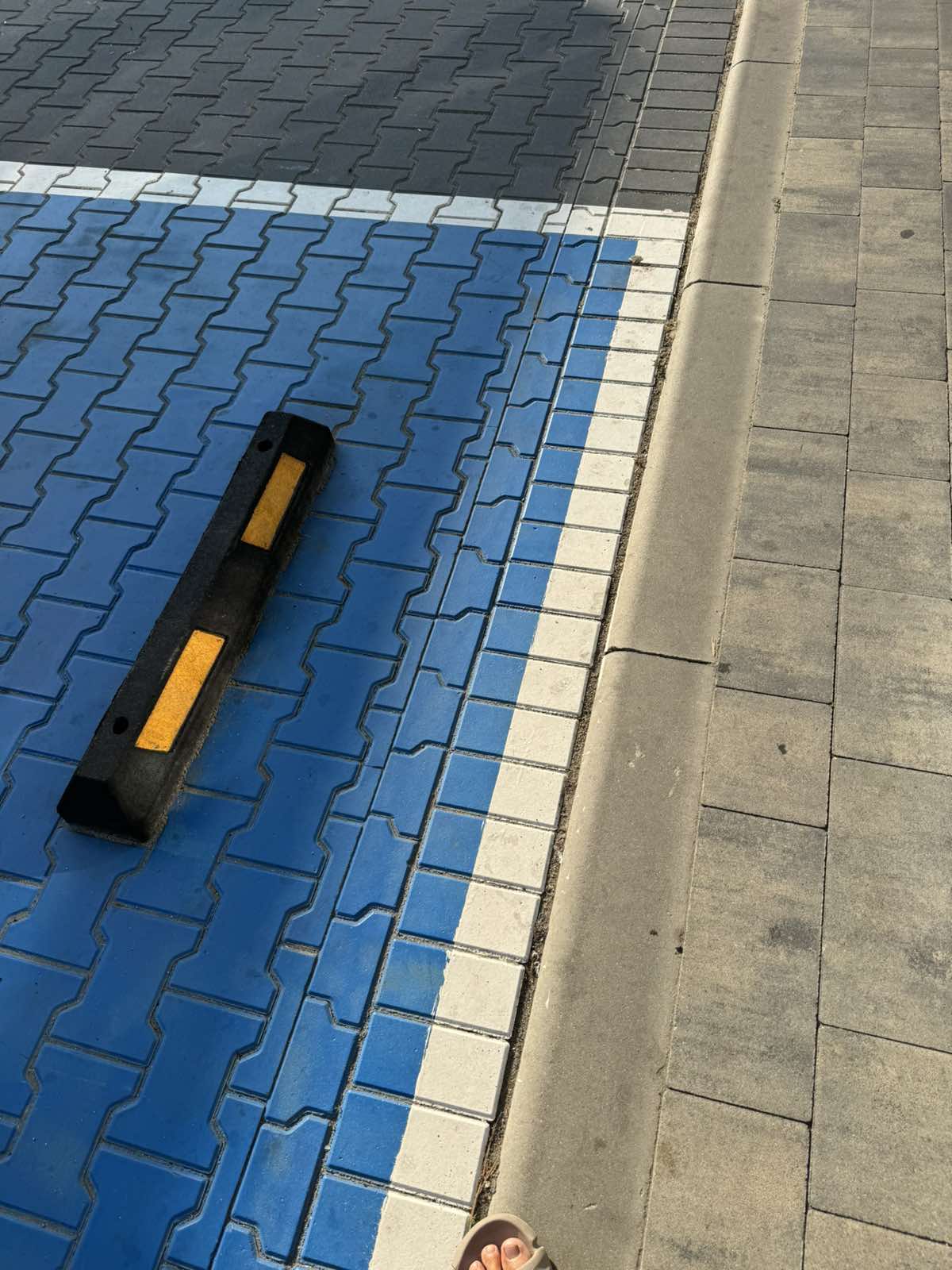 Trinkelių takų tinklas su apželdinimu